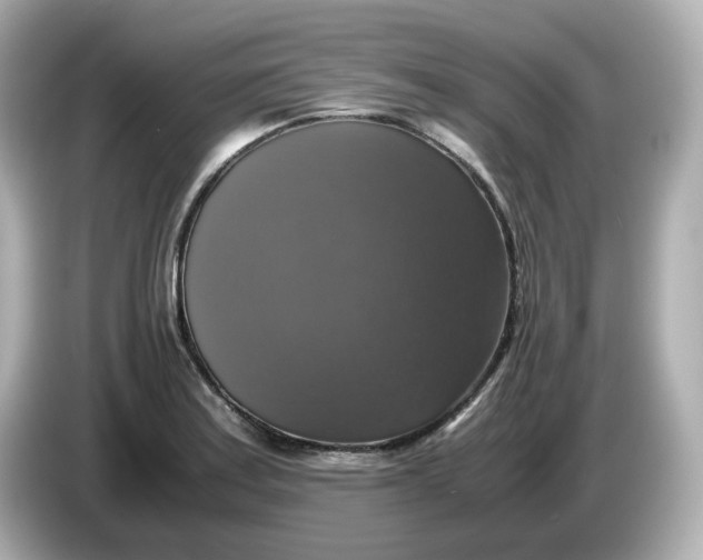 X0000086011179200704091050