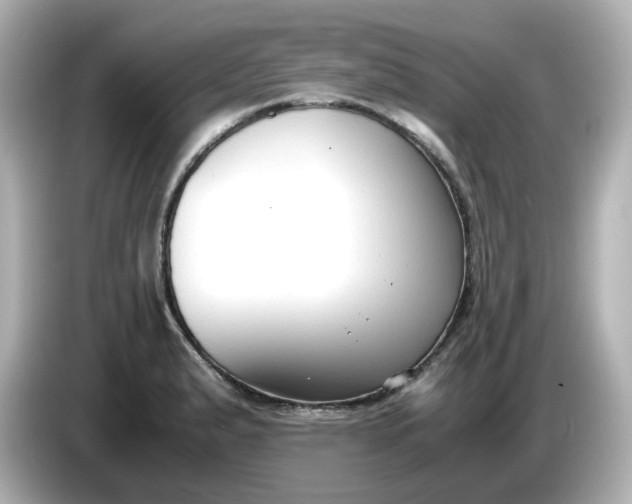 X0000086011183200704091050
