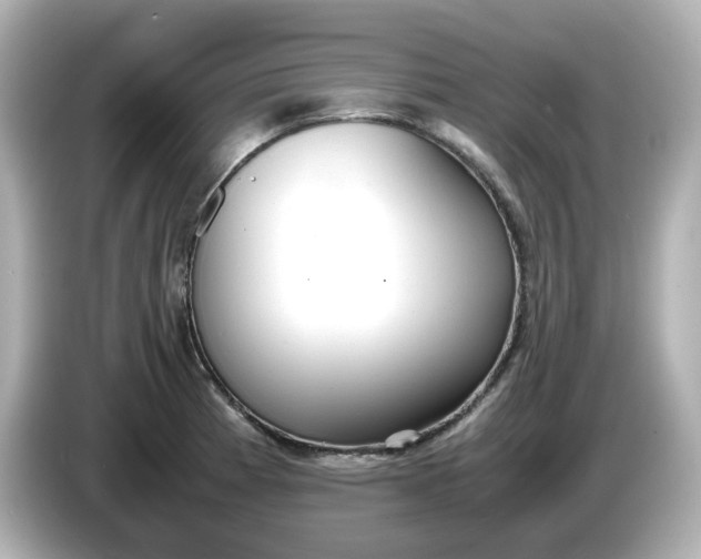 X0000086011185200704091050