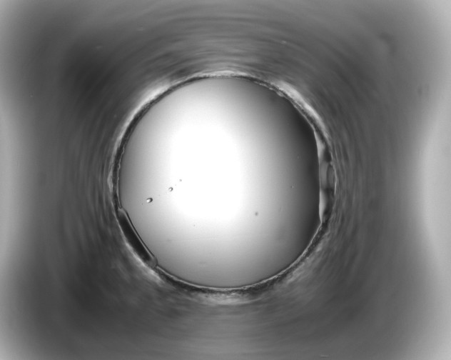 X0000086011189200704091050
