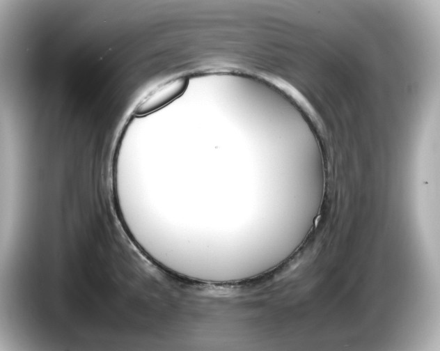 X0000086011191200704091050