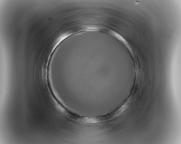 X0000086011194200704091050
