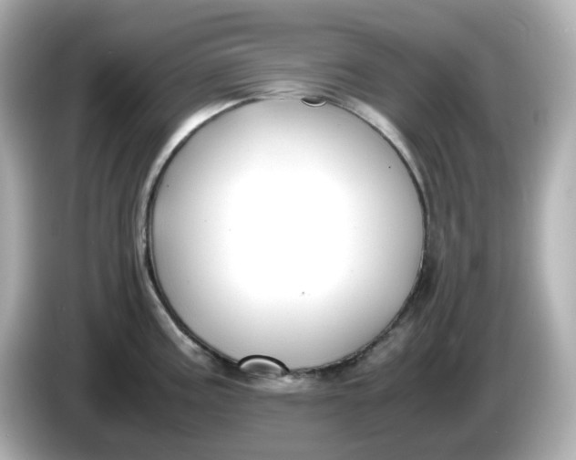 X0000086011195200704091050