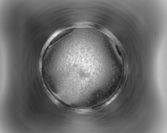 X0000086011196200704091050