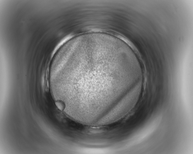 X0000086011198200704091050