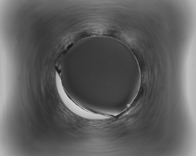 X0000086011202200704091049