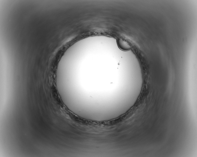 X0000086011207200704091049