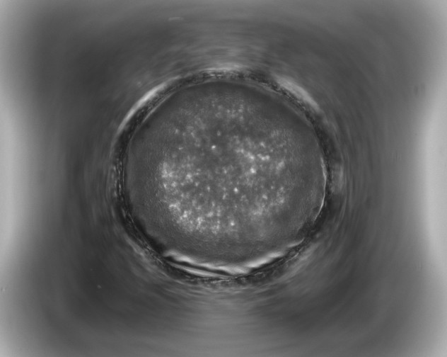 X0000086011208200704091049