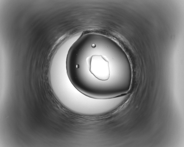X0000086011210200704091049