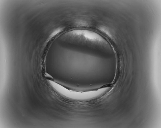 X0000086011213200704091049