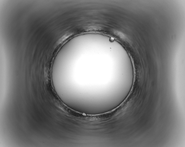 X0000086011217200704091049