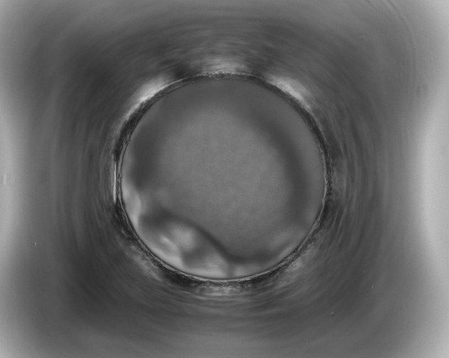 X0000086011219200704091049