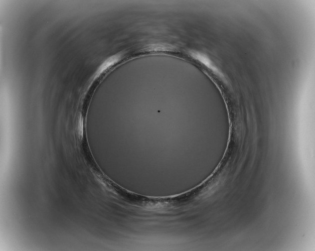 X0000086011221200704091049