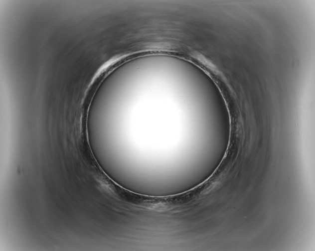 X0000086011222200704091049
