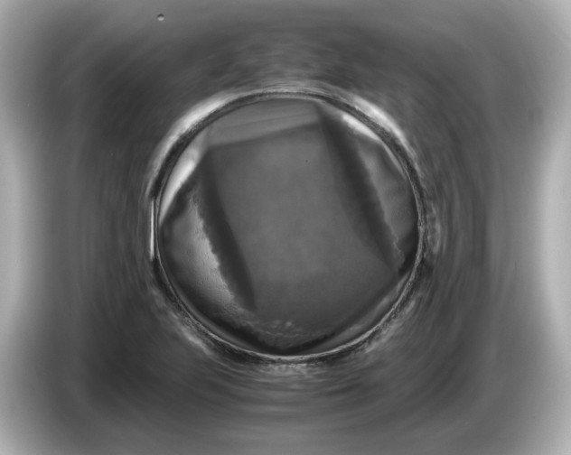 X0000086011223200704091049