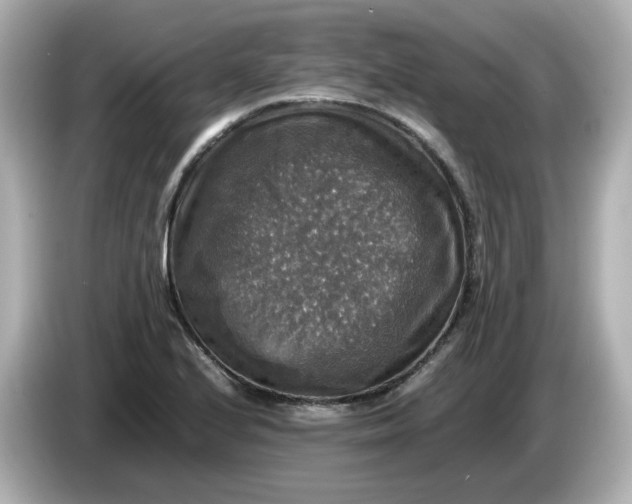 X0000086011224200704091049