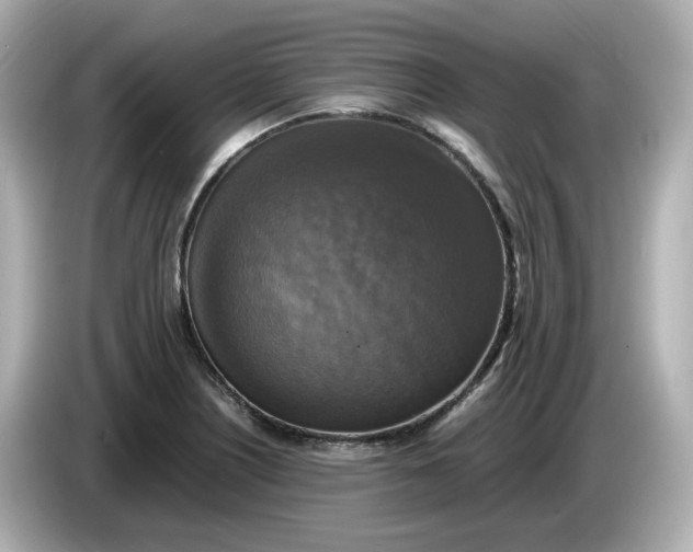 X0000086011226200704091049