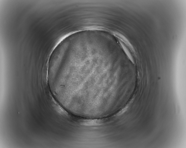 X0000086011228200704091049