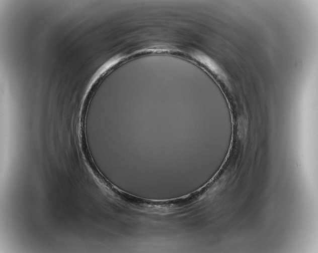 X0000086011229200704091049