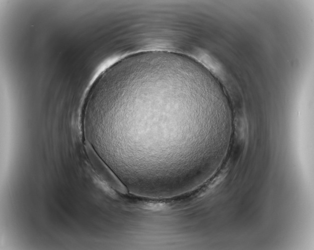 X0000086011230200704091049