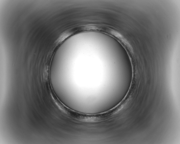 X0000086011233200704091050