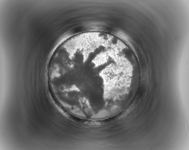 X0000086011235200704091050