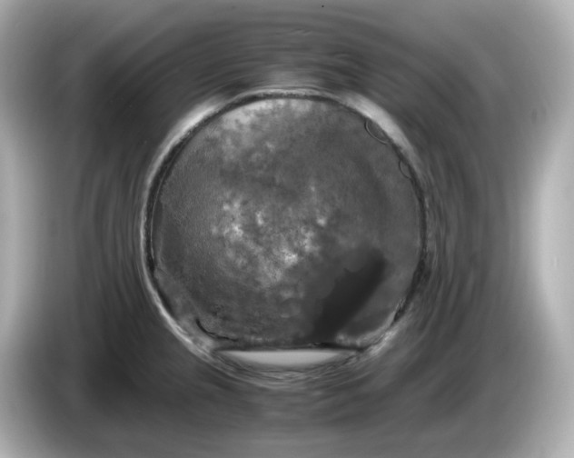 X0000086011237200704091050
