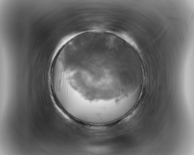 X0000086011239200704091050