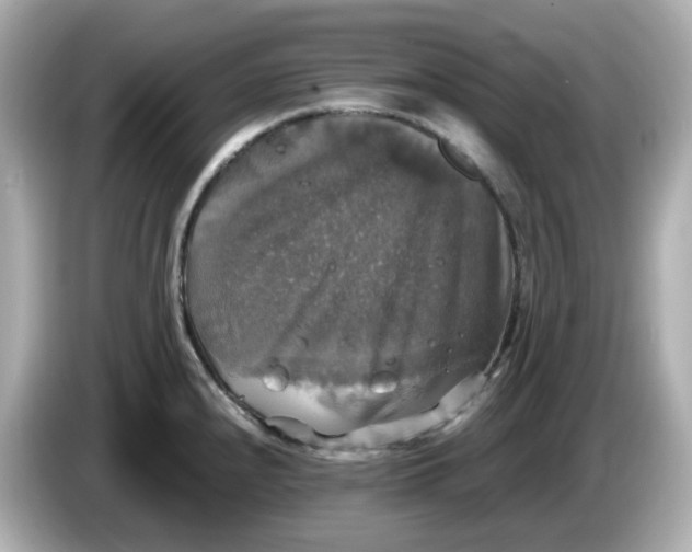 X0000086011240200704091050