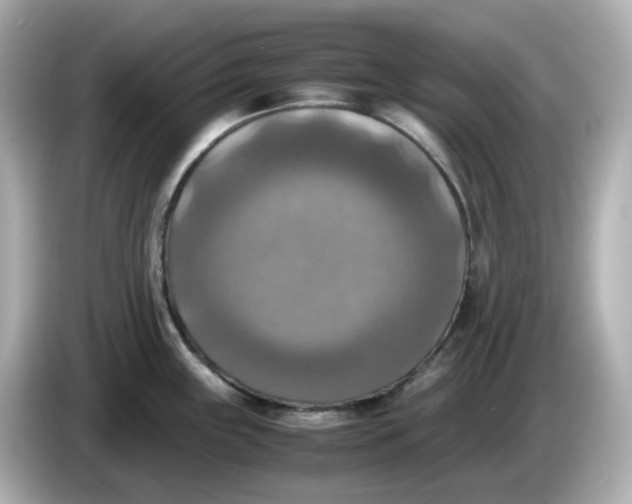 X0000086011243200704091050