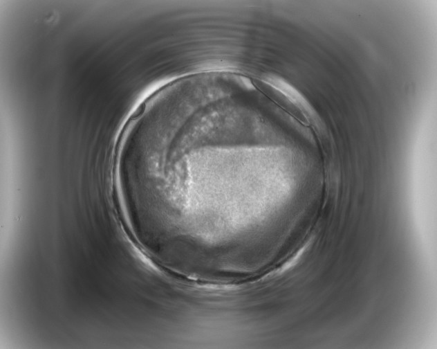 X0000086011244200704091050