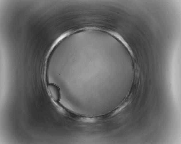 X0000086011245200704091050