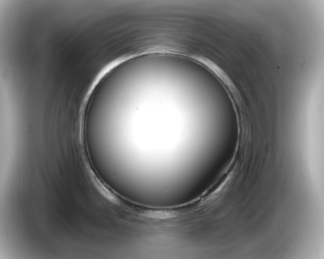 X0000086011246200704091050