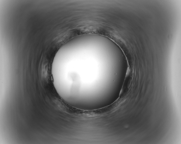X0000086011250200704091049