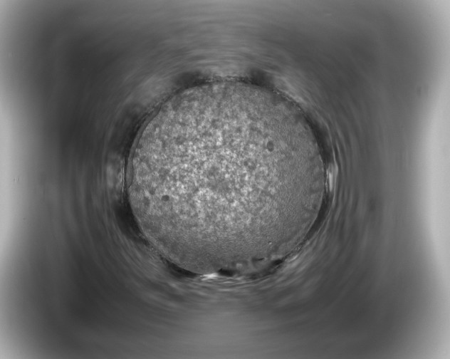 X0000086011251200704091049