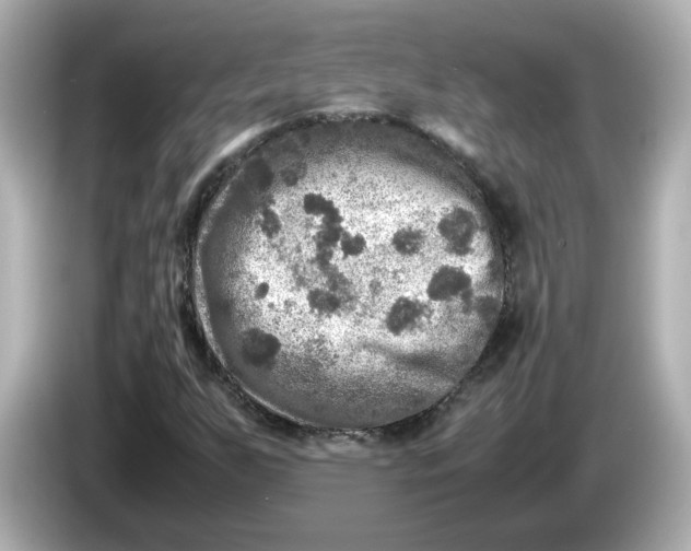 X0000086011255200704091049