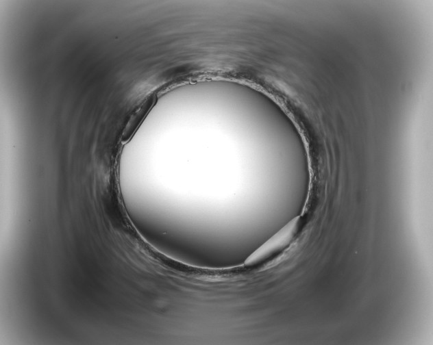 X0000086011257200704091049