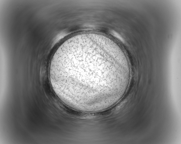 X0000086011259200704091049
