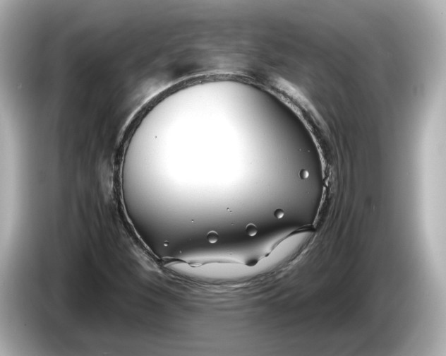 X0000086011260200704091049