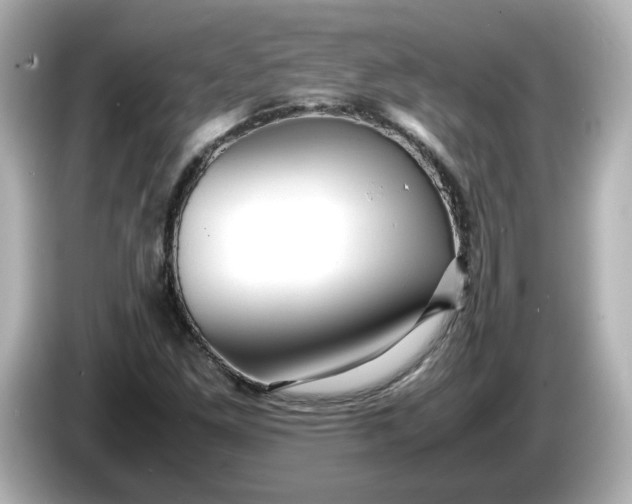 X0000086011261200704091049