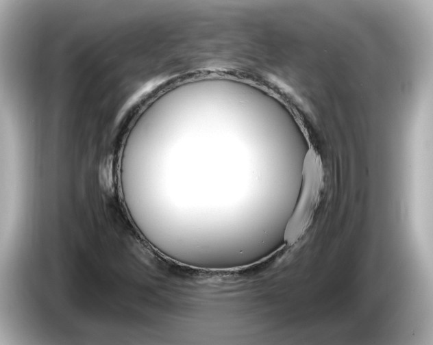 X0000086011262200704091049