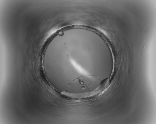 X0000086011263200704091049