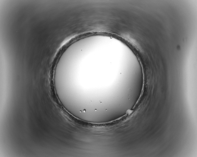 X0000086011264200704091049
