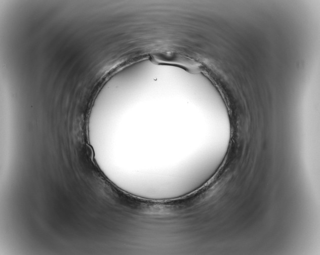 X0000086011265200704091049