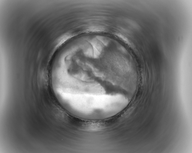 X0000086011266200704091049