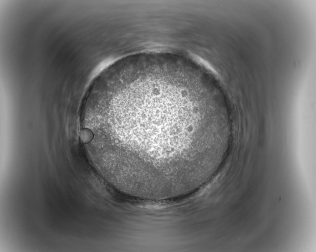 X0000086011267200704091049