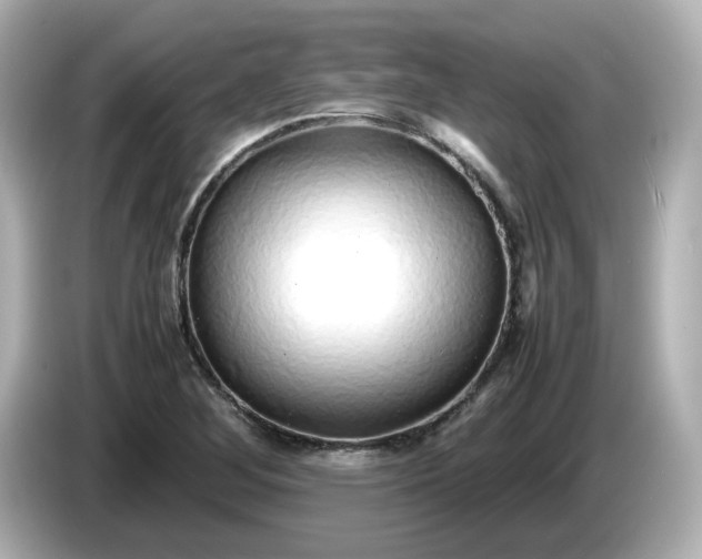 X0000086011268200704091049