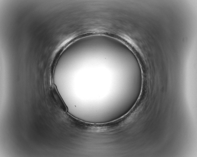 X0000086011269200704091049