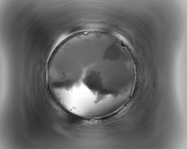 X0000086011275200704091049