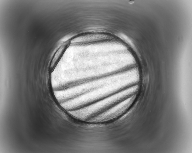 X0000086011277200704091049